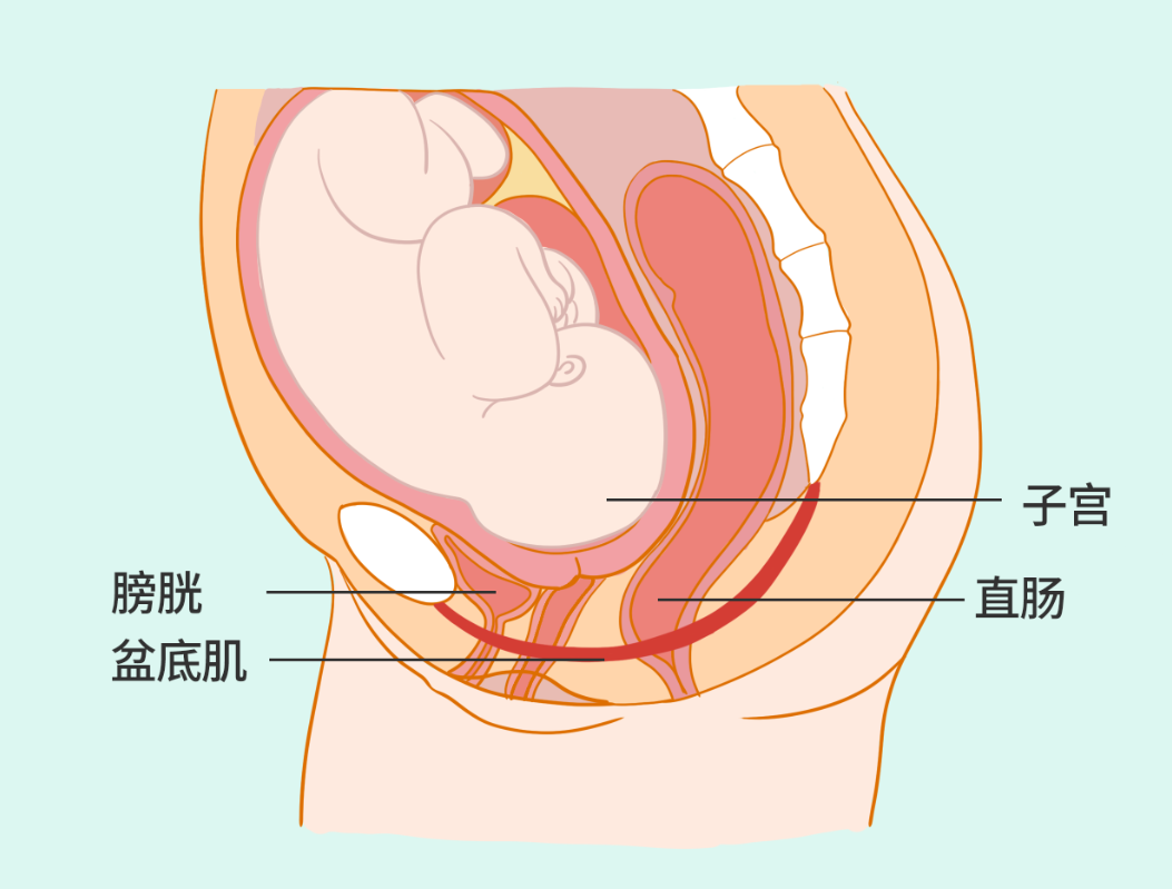 產后便秘1.png